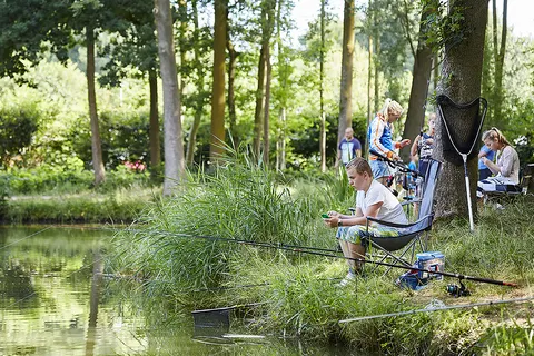 Camping De Leistert foto 31