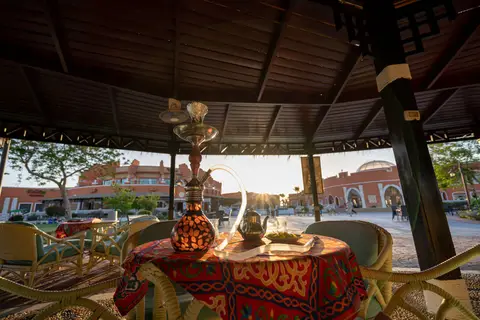 Caribbean World Resort in سفاجا — foto 22