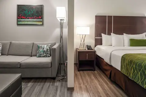 Comfort Inn & Suites in Scarborough — foto 20