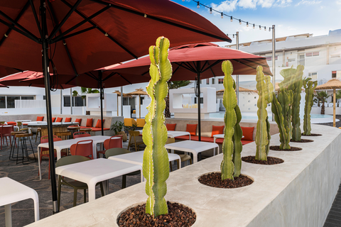 Buendia Corralejo Nohotel foto 21