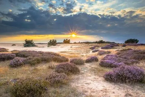 TopParken Bospark Ede foto 19