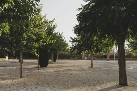 Wecamp Jávea foto 20