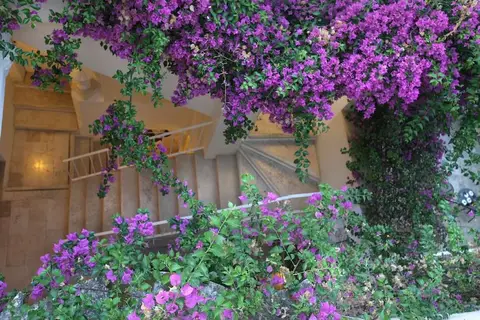 Relais Corte Palmieri in Gallipoli — foto 13
