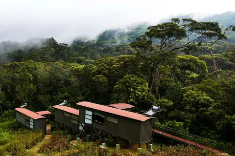 Rainforest Eco Lodge in Rainforest Ecolodge — foto 17