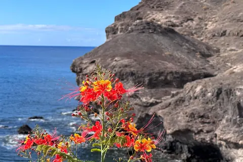 Etti Paradise in Pájara — foto 33