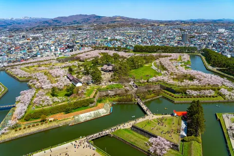 Cruise Japan & Zuid-Korea in Cruisereizen — foto 19