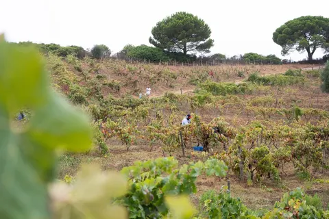 Wecamp Reserva Alecrim foto 27