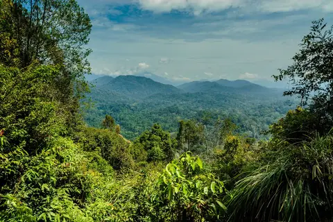 Maleisië op het gemak - Met gids / chauffeur in Miri — foto 6