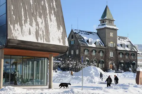 Ontdek het winteravontuur vanuit Lillehammer in Lillehammer — foto 2