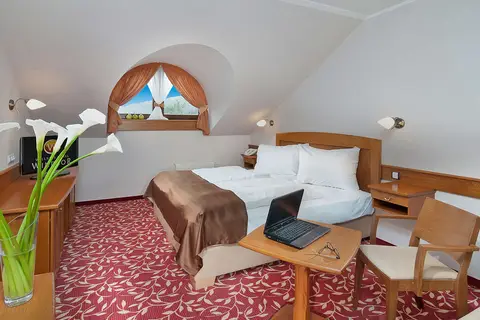 Wellness Hotel Windsor in Špindlerův Mlýn — foto 19