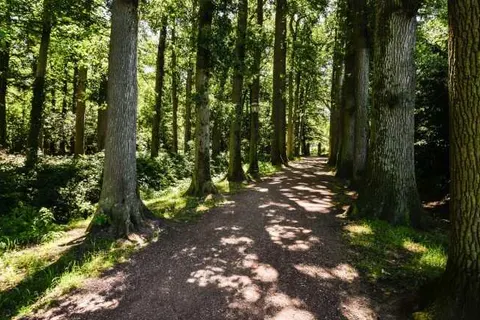Buitenplaats de Bergse Bossen foto 29