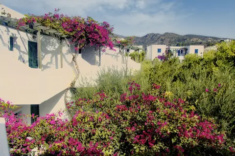 Villea Village in Δημοτική Ενότητα Μακρύ Γιαλού — foto 2