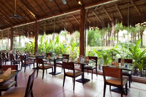 Hotel El Dorado Seaside Suites in Cenote "El Cocodrilo Dorado" — foto 5