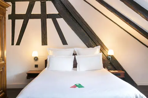 Hôtel de l'Europe by HappyCulture in Straatsburg, foto 19