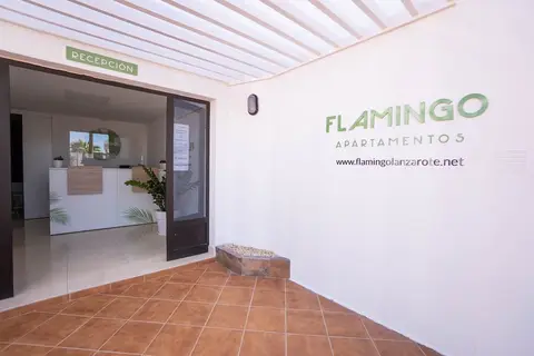 Apartments Flamingo in Puerto del Carmen — foto 16