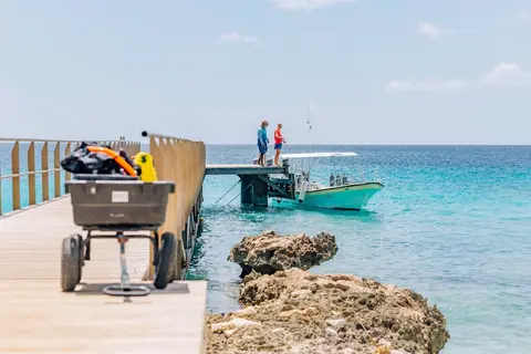 Delfins Beach Resort Bonaire, Tapestry Collection by Hilton in Kralendijk — foto 19