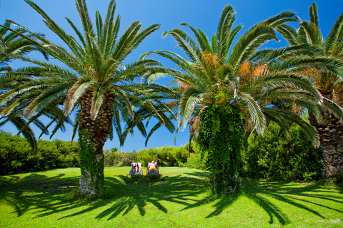 Hotel & Bungalows Caravia Beach foto 12