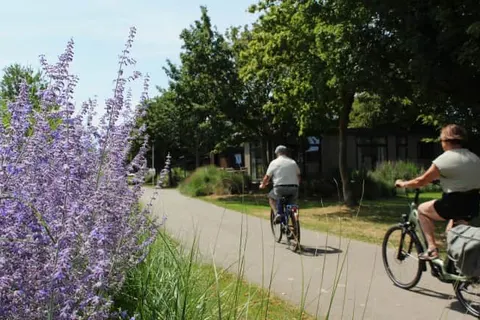 Maaspark de Lithse Ham foto 2