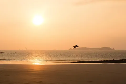 Escale Oceania St Malo foto 4