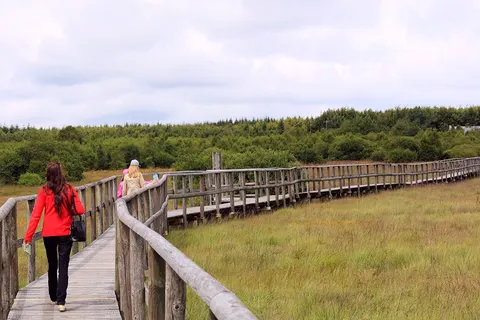 Camping Hohenbusch foto 27