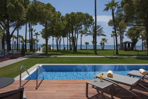 Acanthus Cennet Barut Collection foto 18