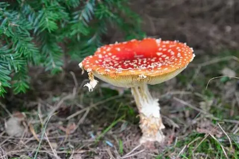 Landgoed De Uitkijk foto 31