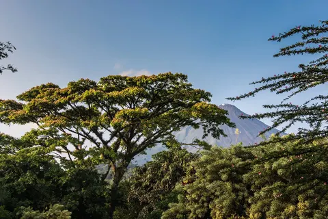 Natuurlijk Costa Rica in Costa Rica — foto 7