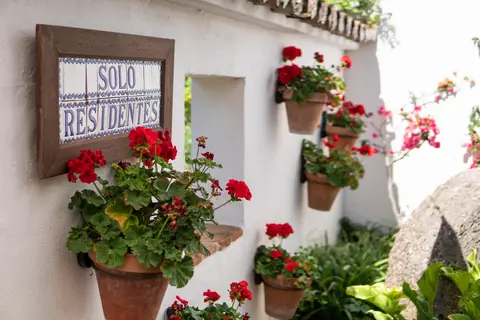 Molino del Santo in Benaoján — foto 3