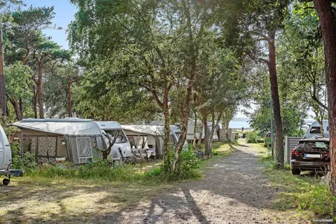 Camping Torekov in Torekov — foto 19