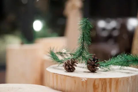 Cornelia Boutique Hotel & SPA in Bansko, foto 12