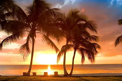 Tortuga Bay Puntacana in Salvaleón de Higüey — foto 5