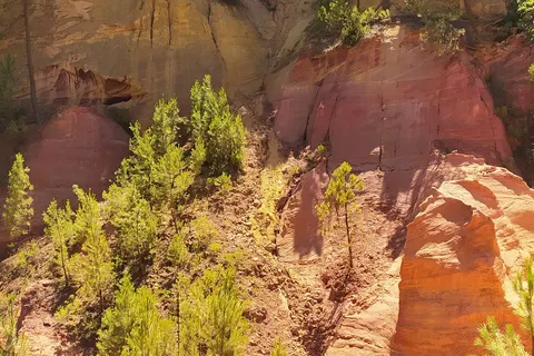 Camping La Riviere foto 31