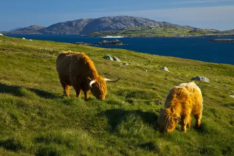Highlands en Hebriden in Schotland, Hebriden en Shetland Eilanden — foto 8