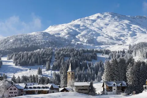 Hotel Alpina Parpan foto 26