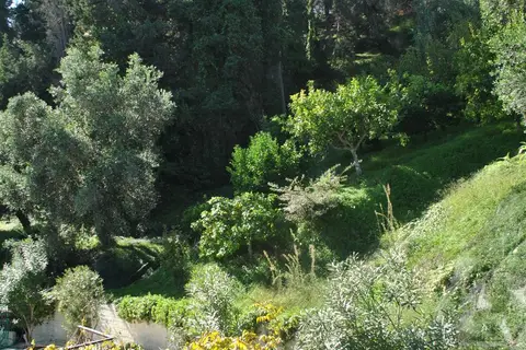 Helios Splendid in Δημοτική Ενότητα Κορισσίων — foto 2