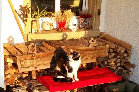 Landgasthof Grüner Baum foto 15