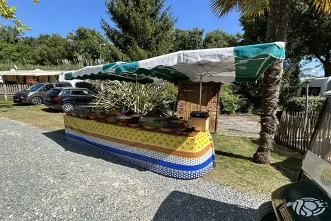 Camping Royal Océan in Saint-Sulpice-de-Royan — foto 16