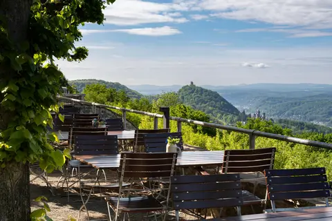 Steigenberger Icon Grandhotel & Spa Petersberg in Königswinter — foto 22
