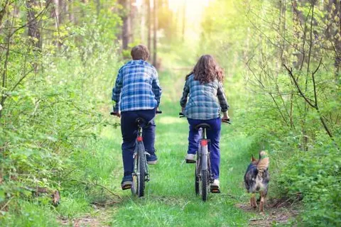 B&B De Grote Waaij foto 16