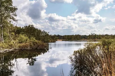 Park De Zeegser Duinen foto 4