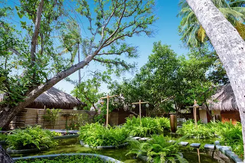 Malahini Kuda Bandos in Kuda Bandos — foto 15