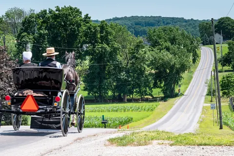 The Grand East foto 5