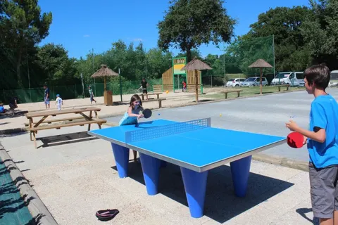 Camping La Trévillière foto 4