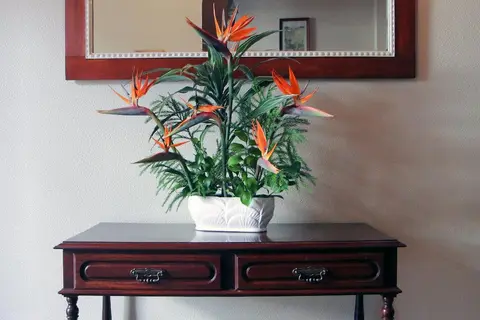 Residencial Gordon in Funchal — foto 11