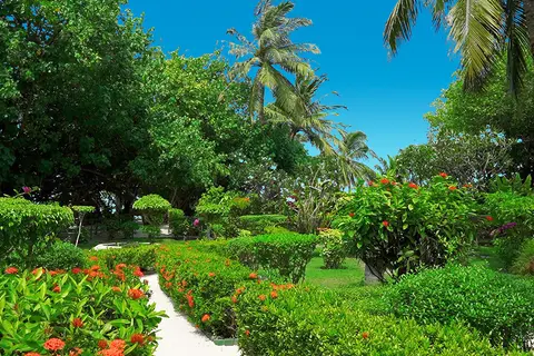 Adaaran Prestige Vadoo in ވާދޫ — foto 16