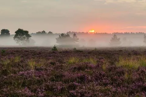 NH Koningshof foto 33