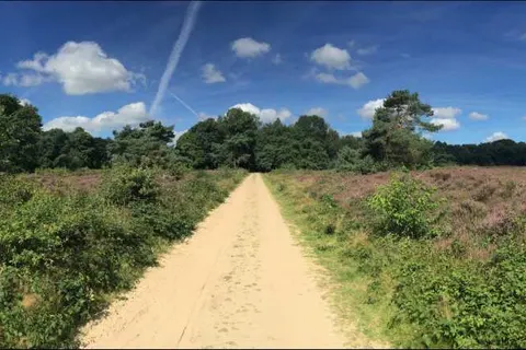 Hotel De Werelt Garderen foto 23