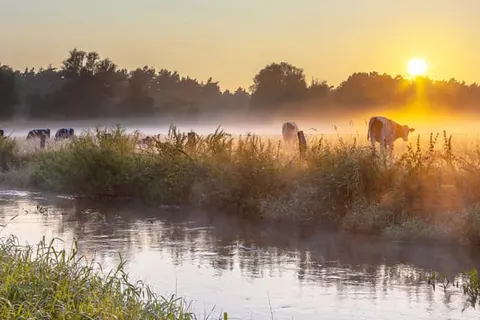 Van der Valk Theaterhotel Almelo foto 27