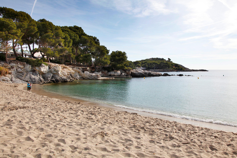 AluaSoul Carolina - adults only foto 26