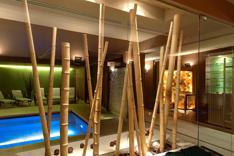 Chalet du Lys Hotel & Spa foto 9